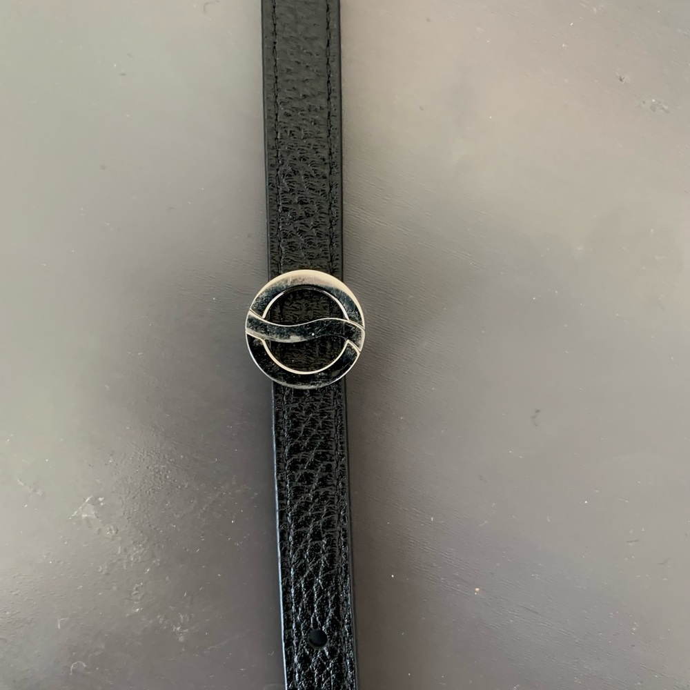 Philip Stein frequency bracelet